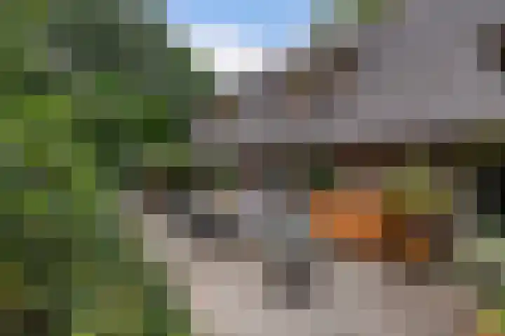 Nieuwe Bussummerweg 246 Huizen thumbnail 44