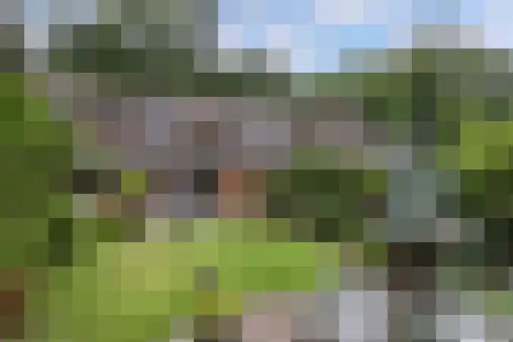 Nieuwe Bussummerweg 246 Huizen thumbnail 45