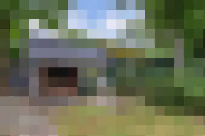 Nieuwe Bussummerweg 246 Huizen thumbnail 47