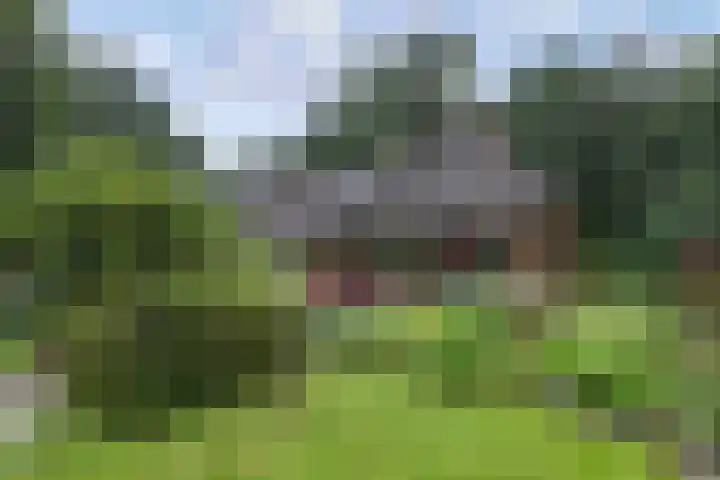 Nieuwe Bussummerweg 246 Huizen thumbnail 5