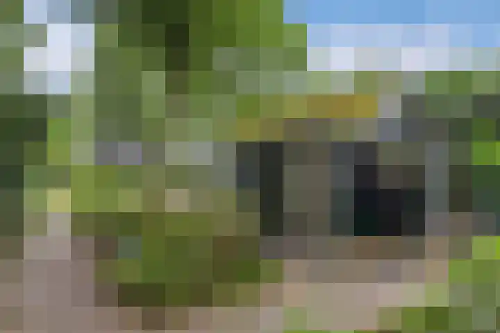 Nieuwe Bussummerweg 246 Huizen thumbnail 50