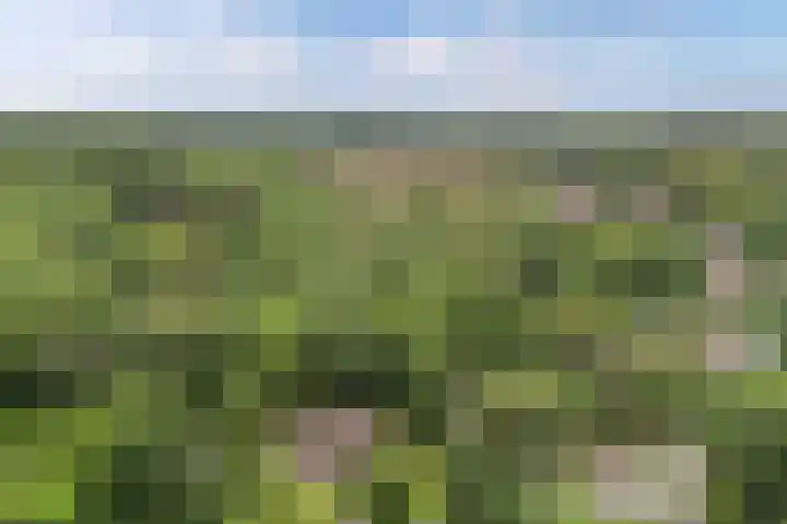Nieuwe Bussummerweg 246 Huizen thumbnail 59