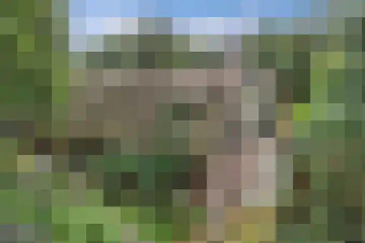 Nieuwe Bussummerweg 246 Huizen thumbnail 6