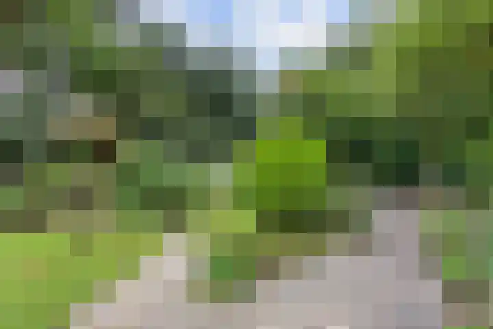Nieuwe Bussummerweg 246 Huizen thumbnail 60