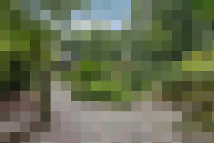 Nieuwe Bussummerweg 246 Huizen thumbnail 61