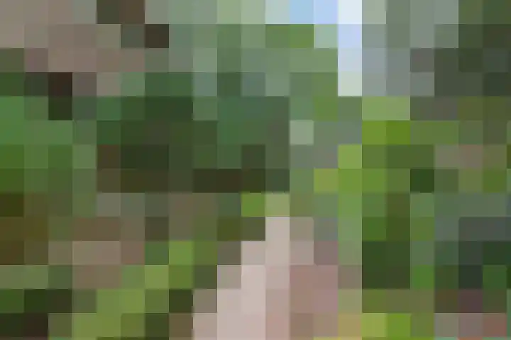 Nieuwe Bussummerweg 246 Huizen thumbnail 62