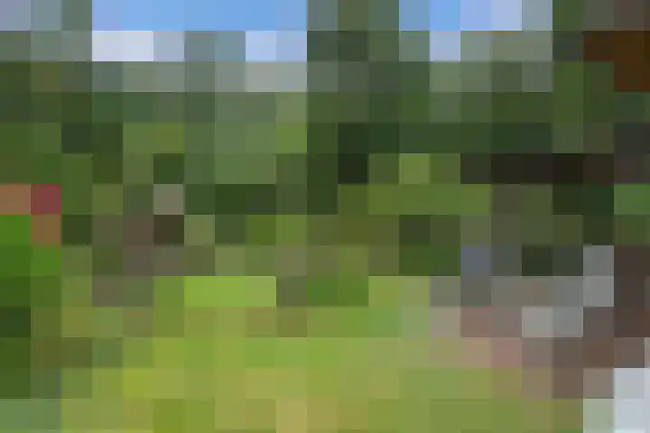 Nieuwe Bussummerweg 246 Huizen thumbnail 63