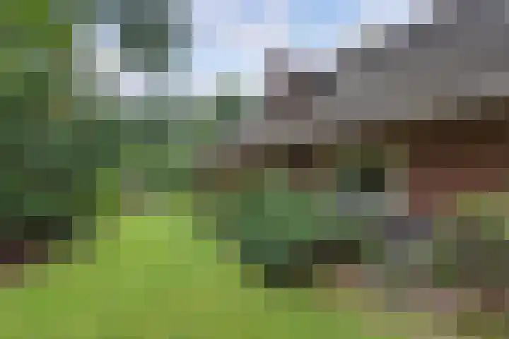 Nieuwe Bussummerweg 246 Huizen thumbnail 64