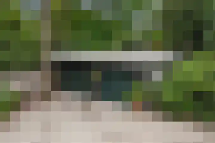 Nieuwe Bussummerweg 246 Huizen thumbnail 65