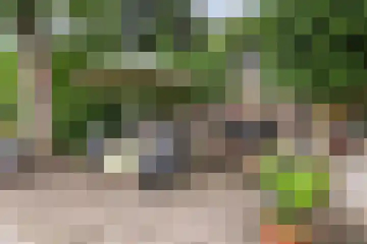 Nieuwe Bussummerweg 246 Huizen thumbnail 67