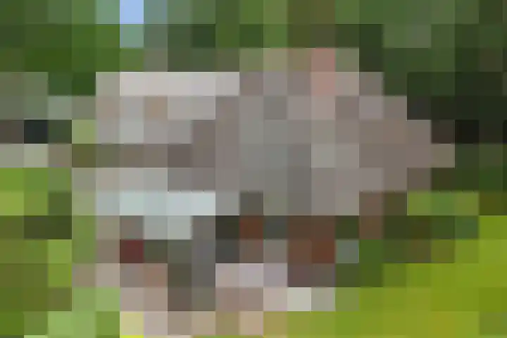 Nieuwe Bussummerweg 246 Huizen thumbnail 68
