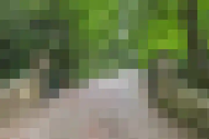 Nieuwe Bussummerweg 246 Huizen thumbnail 7
