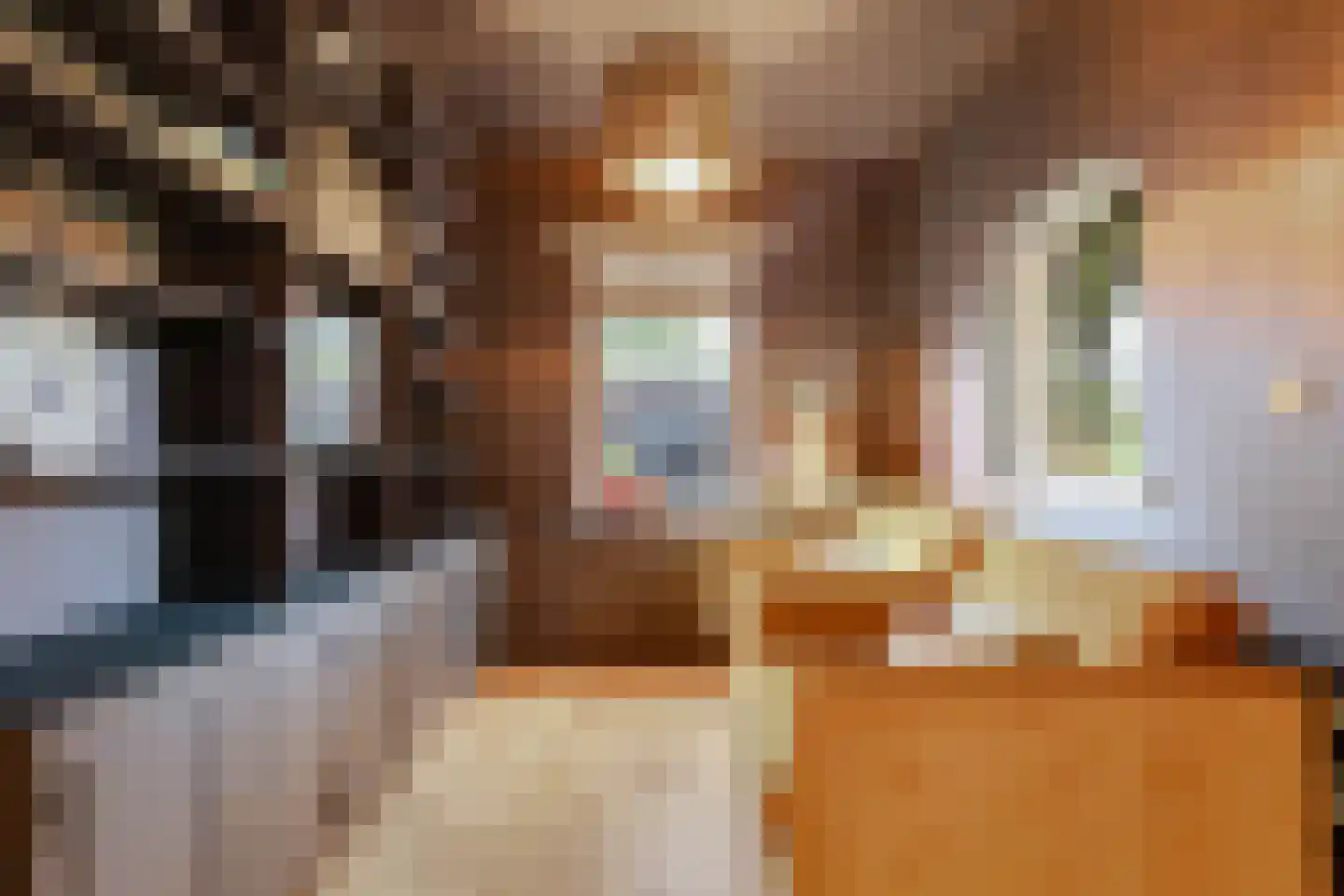 Nieuwe Bussummerweg 40 Huizen thumbnail 12