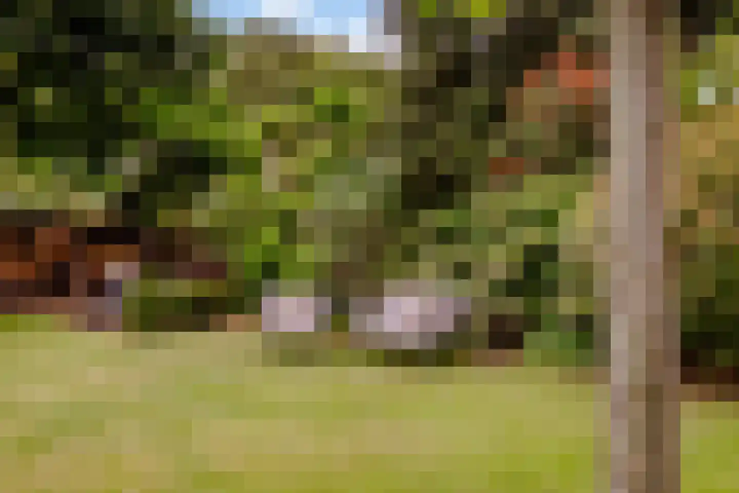 Nieuwe Bussummerweg 40 Huizen thumbnail 47