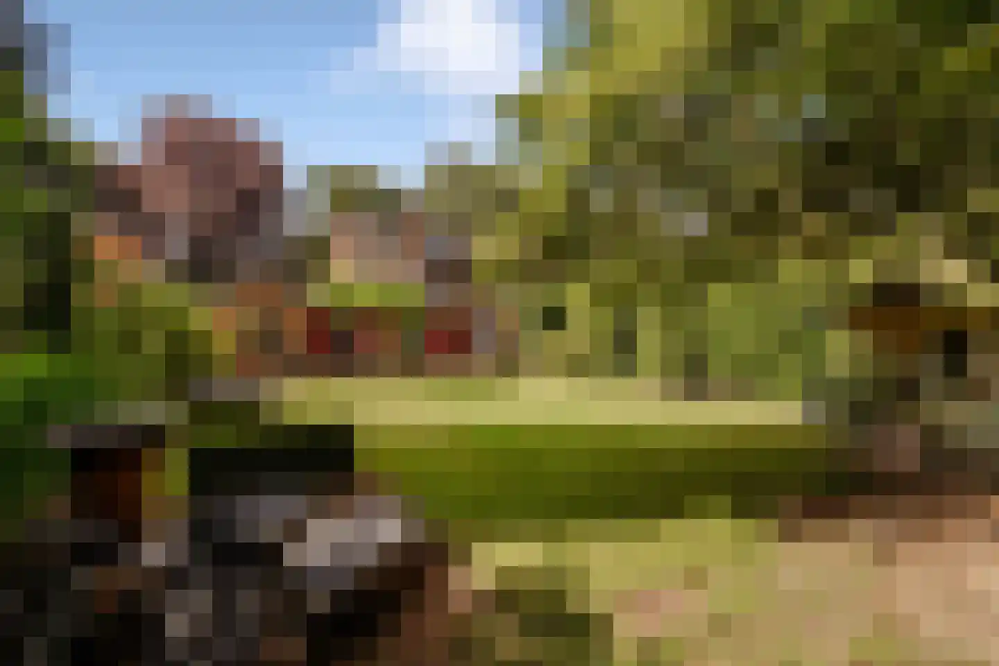 Nieuwe Bussummerweg 40 Huizen thumbnail 48