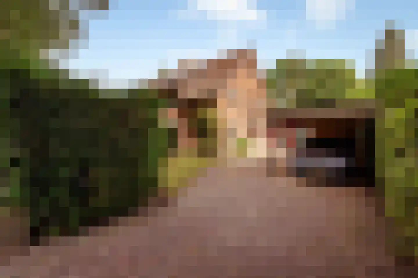 Nieuwe Bussummerweg 40 Huizen thumbnail 52