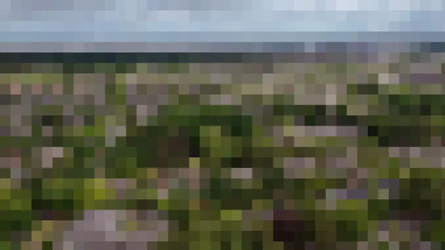 Nieuwe Bussummerweg 40 Huizen thumbnail 53