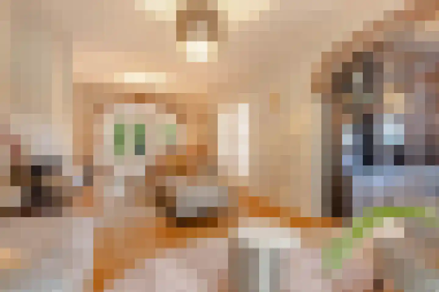 Nieuwe Bussummerweg 40 Huizen thumbnail 6