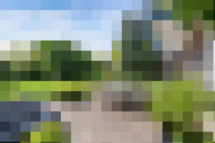 Nieuwe Bussummerweg 83 a Huizen thumbnail 18