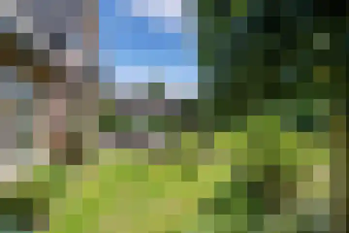 Nieuwe Bussummerweg 83 a Huizen thumbnail 19