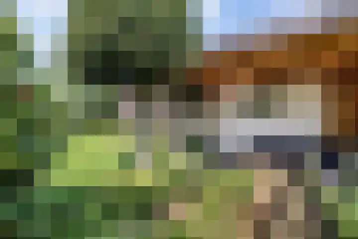 Nieuwe Bussummerweg 83 a Huizen thumbnail 23