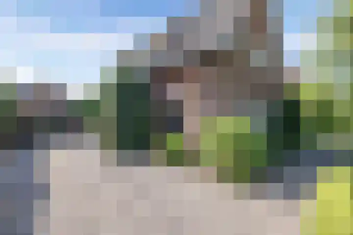 Nieuwe Bussummerweg 83 a Huizen thumbnail 4