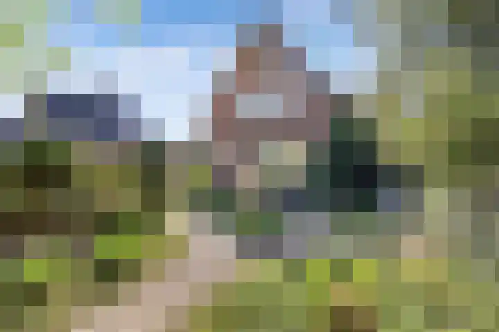 Nieuwe Bussummerweg 83 a Huizen thumbnail 47