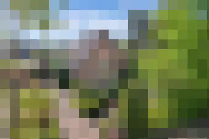 Nieuwe Bussummerweg 83 a Huizen thumbnail 48