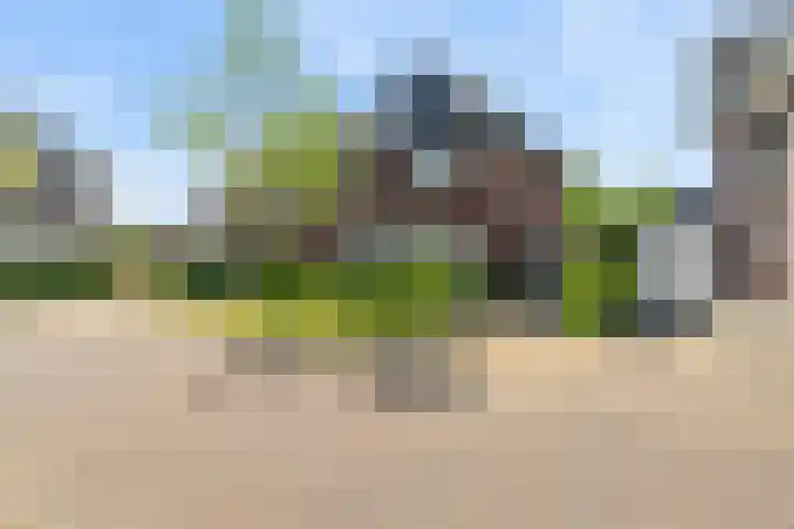 Nieuwe Daalakker 8 Bavel thumbnail 11