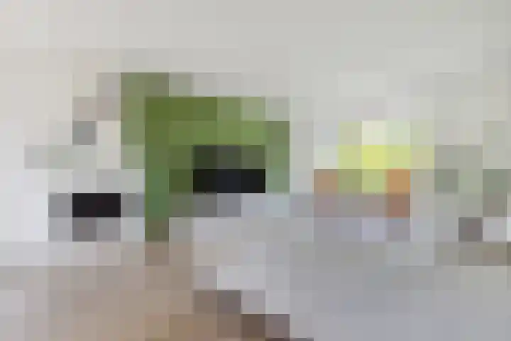 Nieuwe Daalakker 8 Bavel thumbnail 18