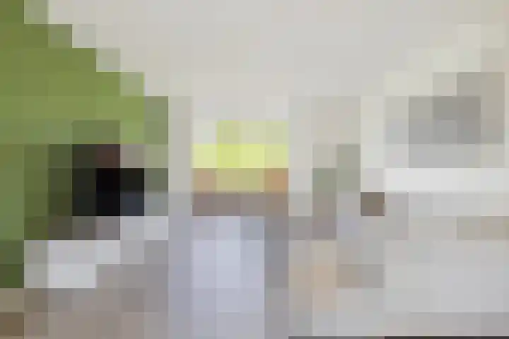 Nieuwe Daalakker 8 Bavel thumbnail 19