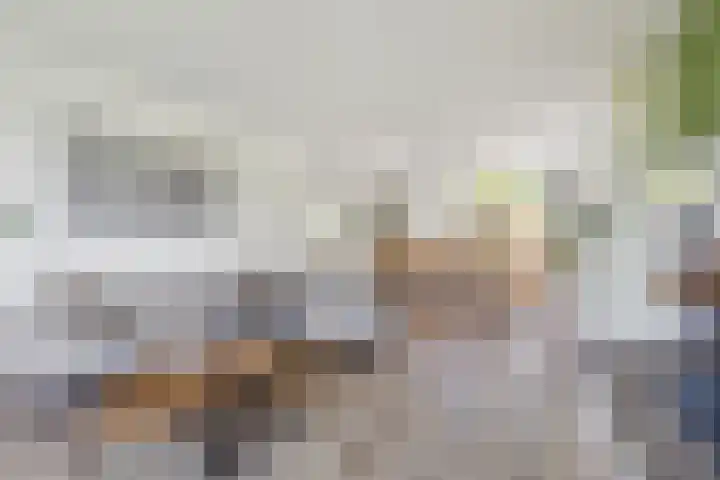 Nieuwe Daalakker 8 Bavel foto 2