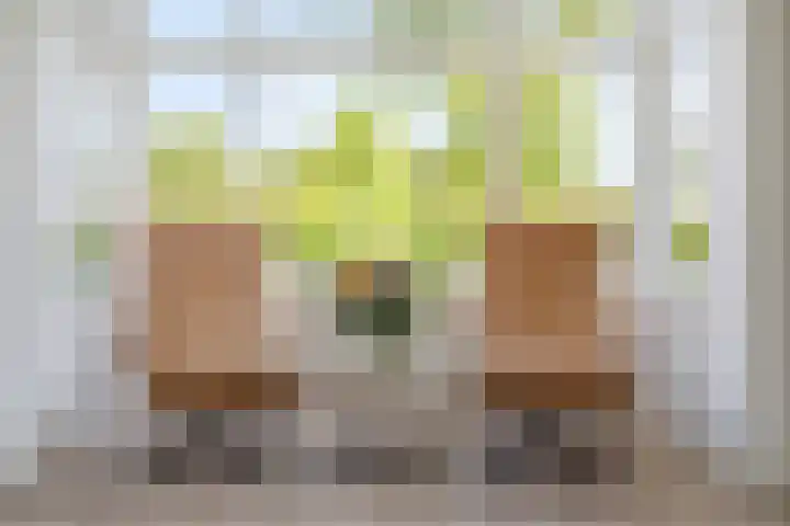 Nieuwe Daalakker 8 Bavel thumbnail 23