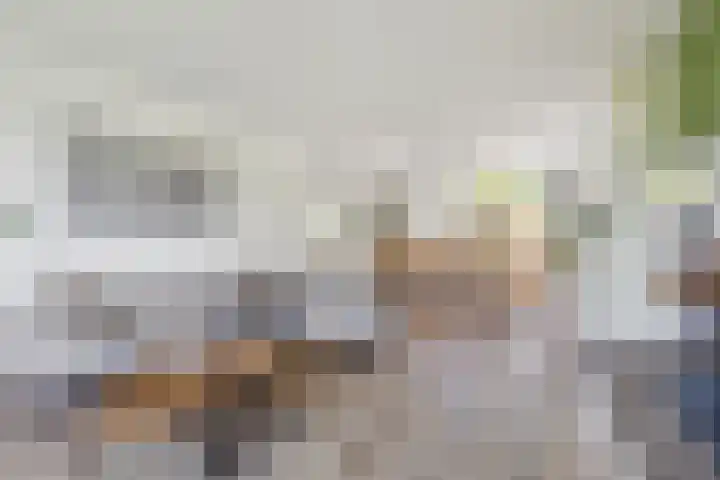 Nieuwe Daalakker 8 Bavel thumbnail 25