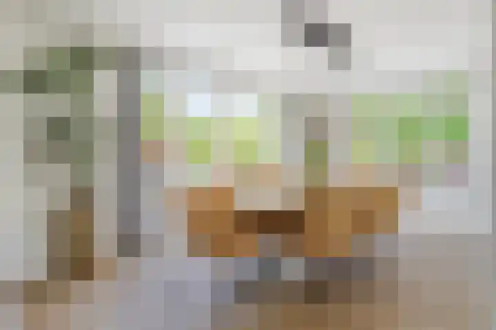Nieuwe Daalakker 8 Bavel thumbnail 27