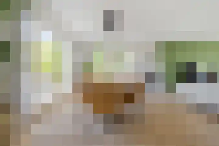 Nieuwe Daalakker 8 Bavel thumbnail 29