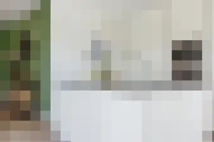 Nieuwe Daalakker 8 Bavel foto 3