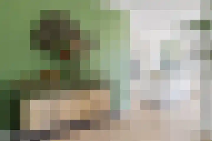 Nieuwe Daalakker 8 Bavel thumbnail 31