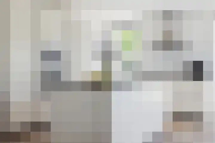 Nieuwe Daalakker 8 Bavel thumbnail 33