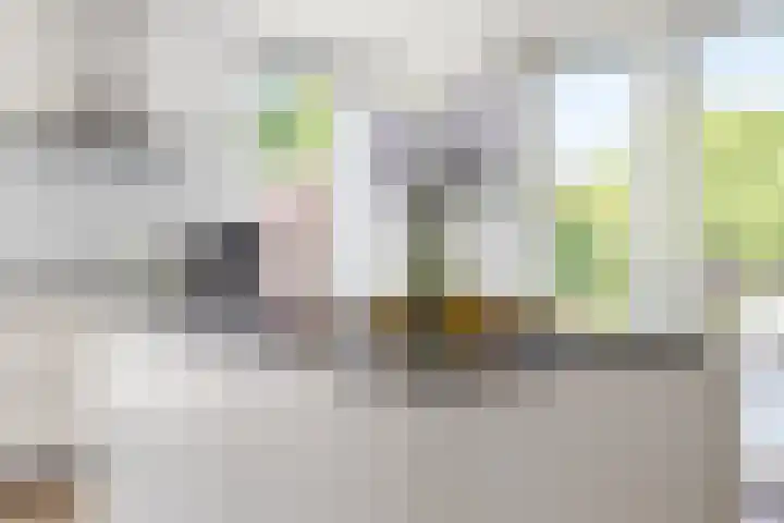 Nieuwe Daalakker 8 Bavel thumbnail 34