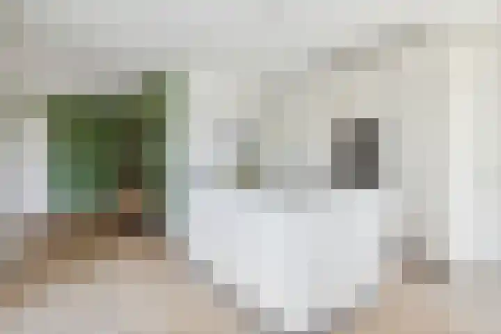Nieuwe Daalakker 8 Bavel thumbnail 39