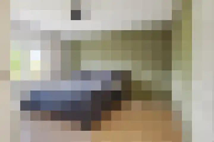 Nieuwe Daalakker 8 Bavel thumbnail 4