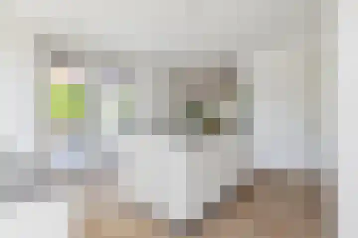 Nieuwe Daalakker 8 Bavel thumbnail 40