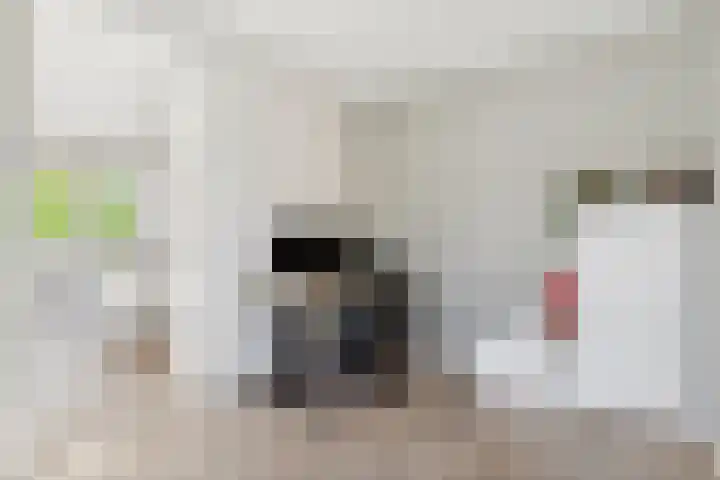Nieuwe Daalakker 8 Bavel thumbnail 42