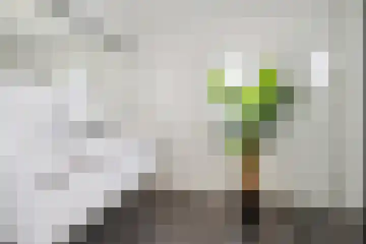 Nieuwe Daalakker 8 Bavel thumbnail 5