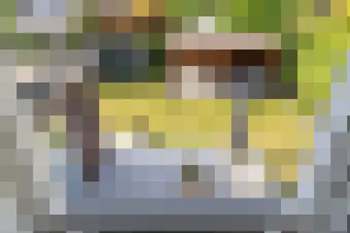 Nieuwe Daalakker 8 Bavel thumbnail 54