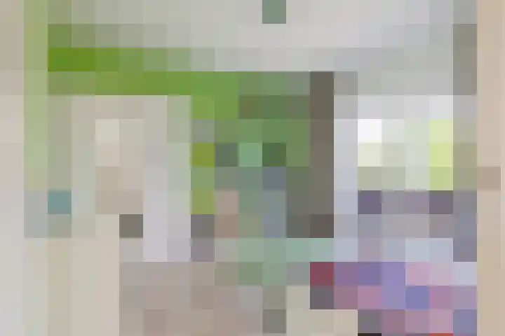 Nieuwe Daalakker 8 Bavel thumbnail 56