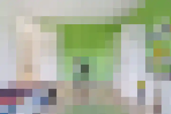 Nieuwe Daalakker 8 Bavel thumbnail 58