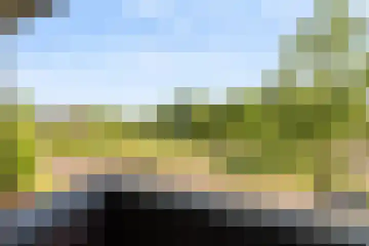 Nieuwe Daalakker 8 Bavel thumbnail 59