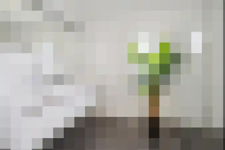 Nieuwe Daalakker 8 Bavel thumbnail 60